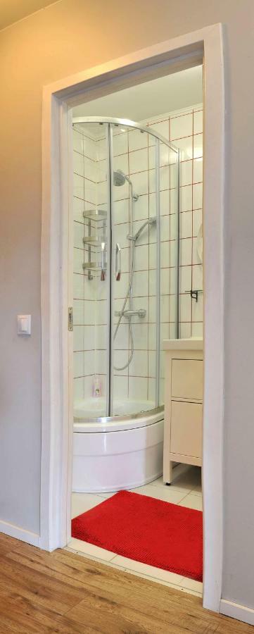 Dzuku Apartment 40 Vilnius Dış mekan fotoğraf